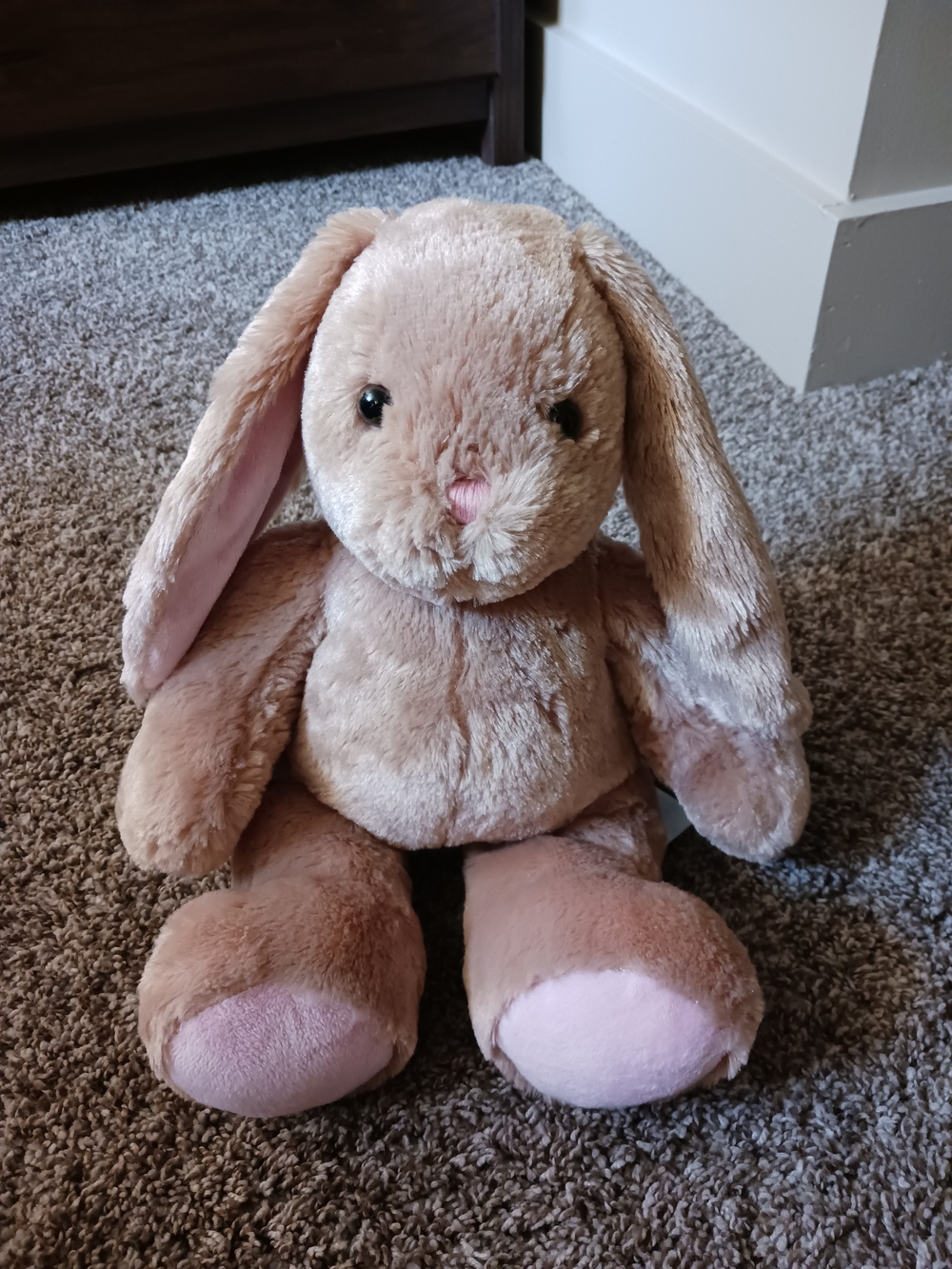 Build-A-Bear Plush Bunny